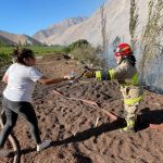 El lado B de los incendios en Paihuano