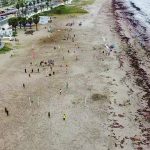 “Verano en Movimiento” lleva el deporte a las playas de la región de Coquimbo
