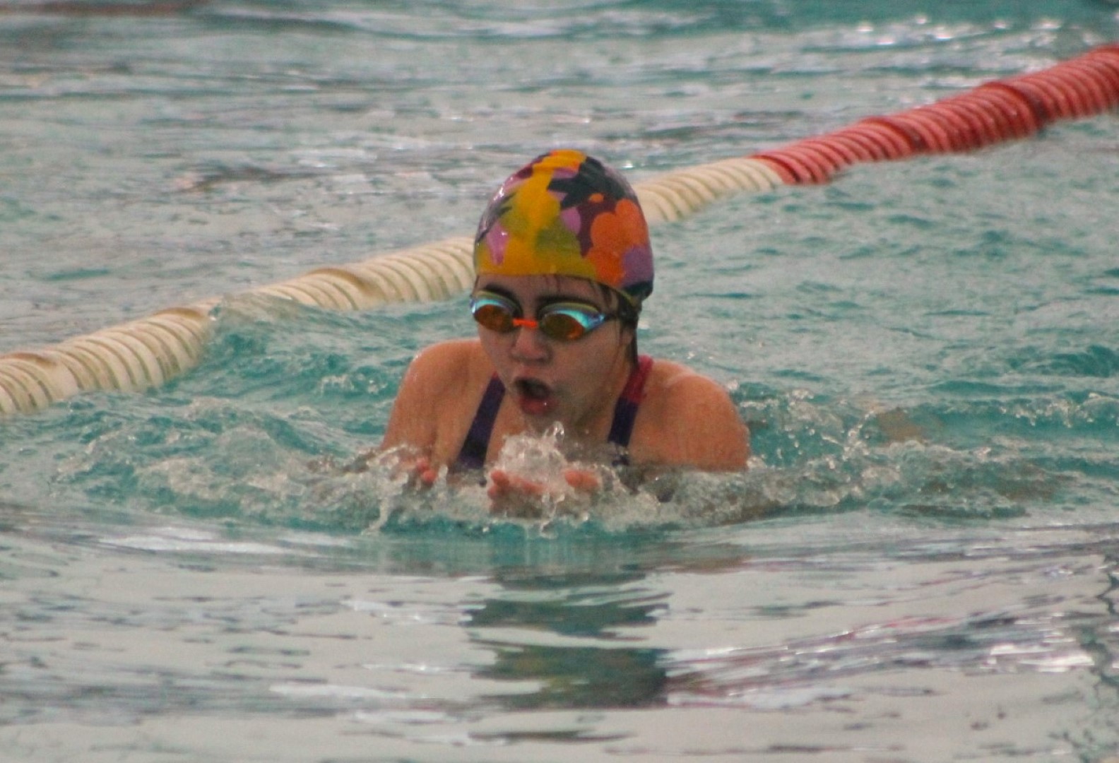 Final Regional: Nuevos ganadores en la natación de los Juegos Escolares 2024