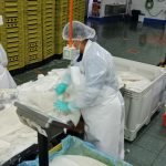 Con Fuerte Presencia Femenina, pesquera Sea Star es un referente de inversión y exportaciones en Coquimbo