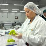 SAG anuncia resolución favorable para proyecto de nuevo sitio de inspección en origen