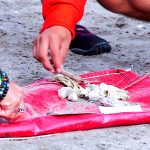 Científicos de la Basura revelan resultados monitoreo participativo de Chile y Latinoamérica