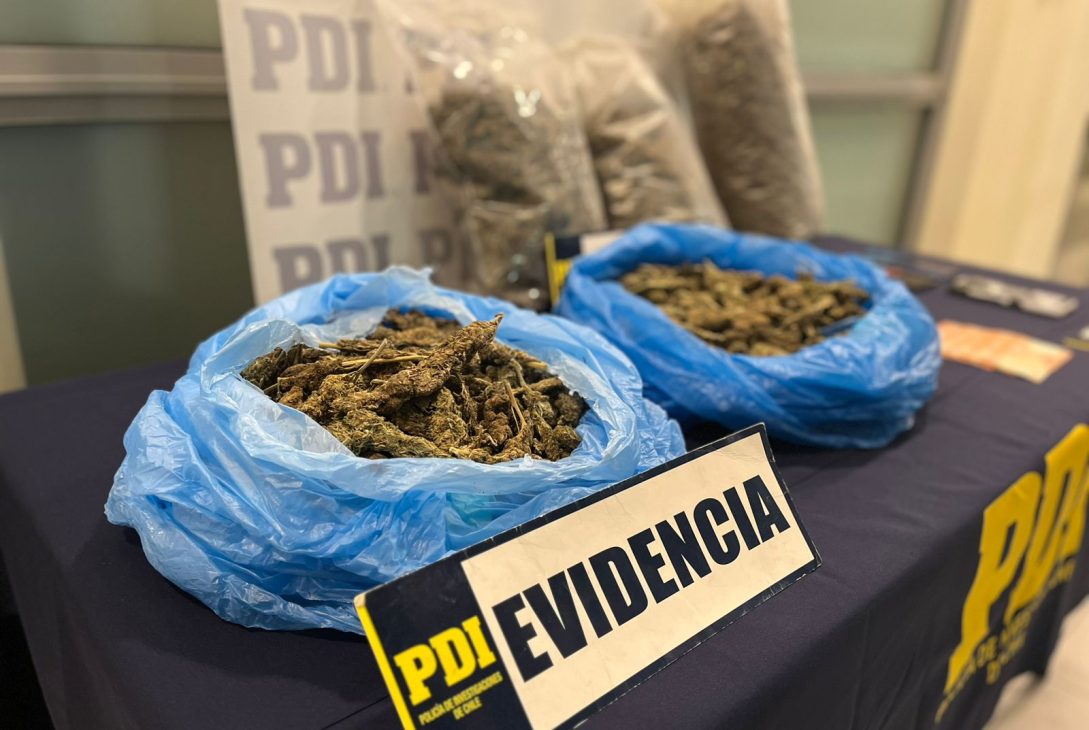 PDI detiene a 3 imputados por contrabando de aves exóticas y con más de 6 kilos de drogas en Andacollo