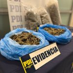PDI detiene a 3 imputados por contrabando de aves exóticas y con más de 6 kilos de drogas en Andacollo