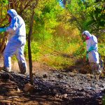 Alcaldesa de Río Hurtado oficia a autoridades a informar qué hortalizas sembrar dentro del contexto de mosca de la fruta