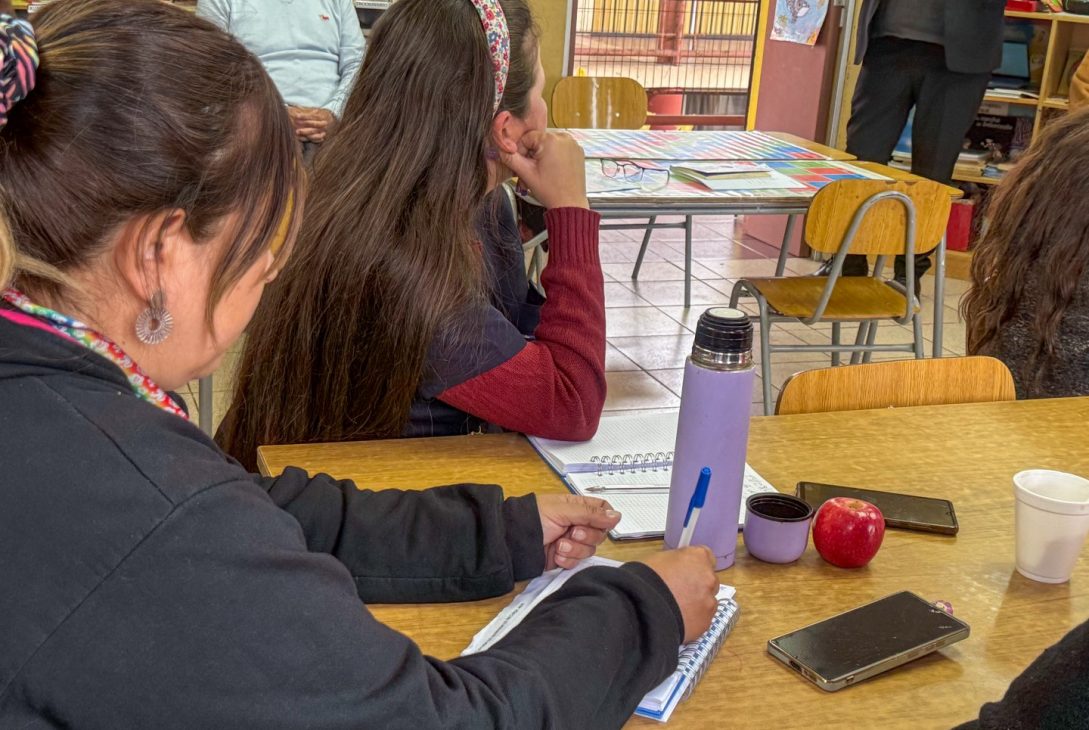 Establecimientos de la Región de Coquimbo se suman al hito nacional para fortalecer el desarrollo profesional docente