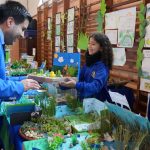 Estudiantes del Colegio Javiera Carrera de La Serena aprenden sobre la importancia de cuidar Los Humedales