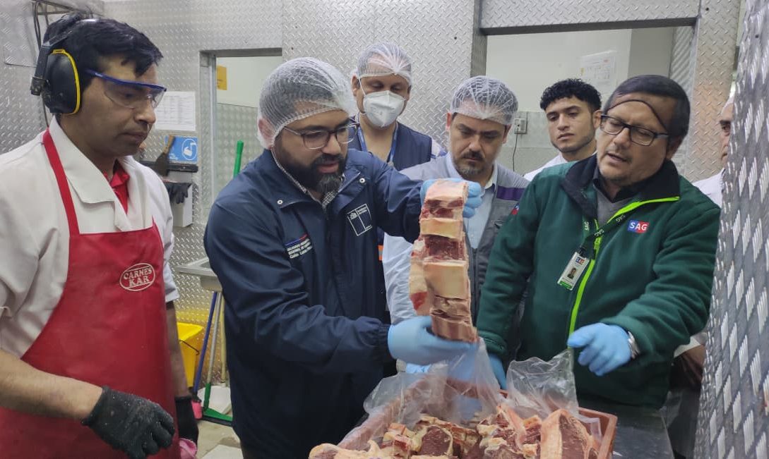 Realizan fiscalización conjunta a Ley de Carnes para garantizar su consumo en Fiestas Patrias de forma segura