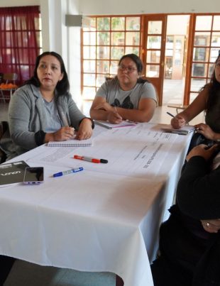 Estudiantes, apoderados, asistentes y docentes de Paihuano comparten sus opiniones para mejorar la Educación Pública