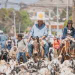 Illapel se llena de cultura y tradición con la XV versión del Día de la Trashumancia y el Criancero Caprino