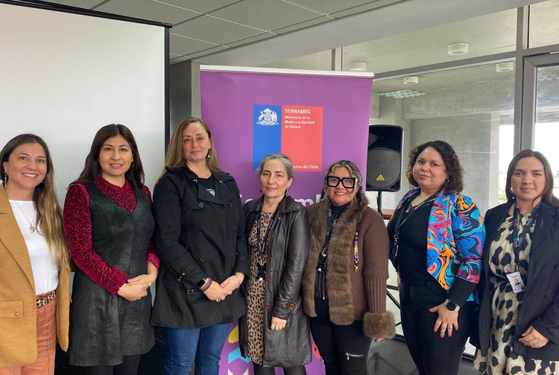 SernamEG potencia habilidades de profesionales para enfrentar la violencia de género en la Región de Coquimbo