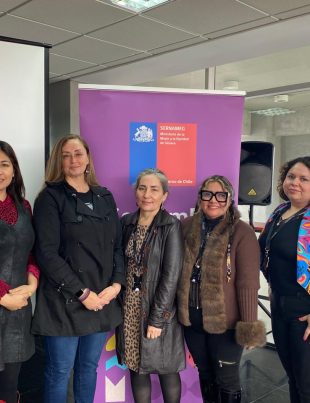 SernamEG potencia habilidades de profesionales para enfrentar la violencia de género en la Región de Coquimbo