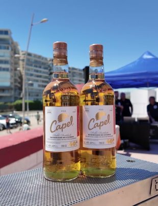 Cielos, Copas y Cultura Vicuña y Paihuano Despliegan su Oferta de Clase Mundial para el Verano 2025