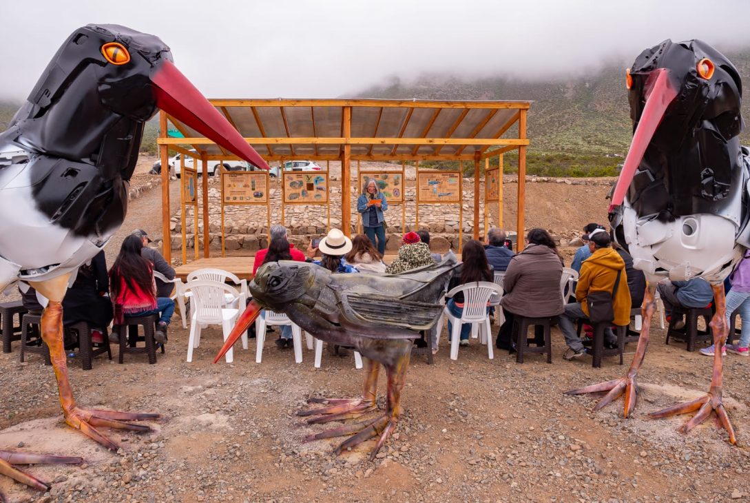Cuentos de 110 Palabras Tu historia puede salvar el Archipiélago de Humboldt, ¡Últimos días para participar!