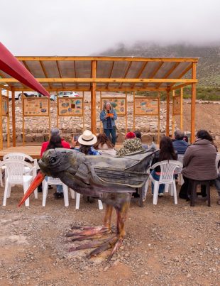 Cuentos de 110 Palabras Tu historia puede salvar el Archipiélago de Humboldt, ¡Últimos días para participar!