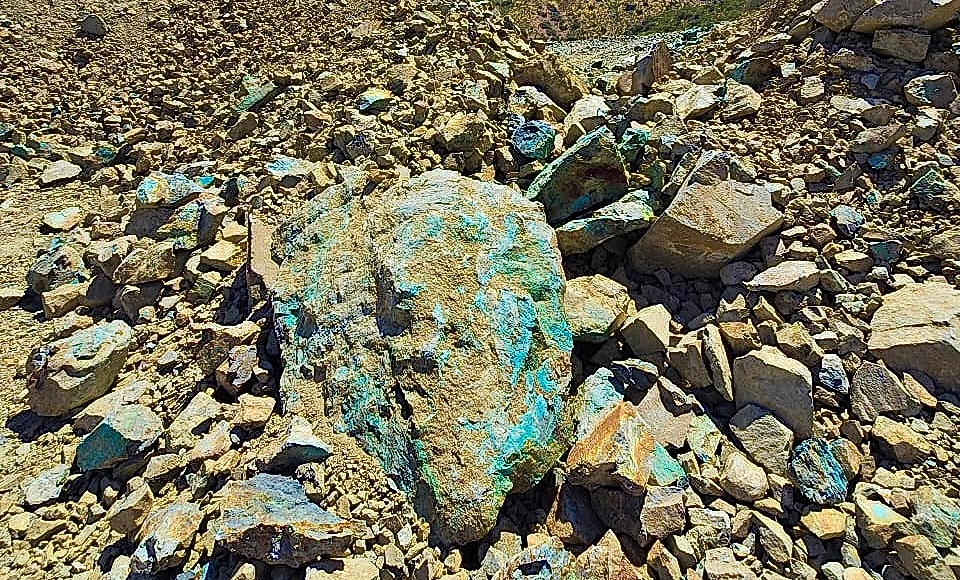 Latam Investment Group se asocia con mineros de Punitaqui para desarrollar concentrado de oro en Chile