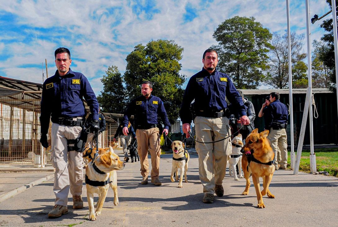 PDI invita a postular hasta el 20 de marzo para el cupo de Agentes Policiales en Chile