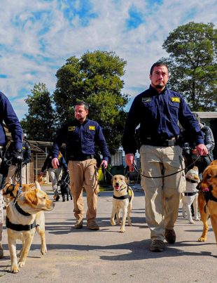 PDI invita a postular hasta el 20 de marzo para el cupo de Agentes Policiales en Chile