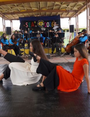 Colegio Pedro Aguirre Cerda de La Serena conmemoró con coro, danza y música la Semana de la Educación Artística
