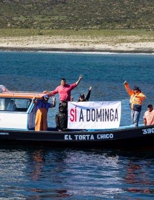 “La federación de pescadores de La Higuera celebramos el avance de Dominga y pedimos respeto por quienes vivimos del mar”