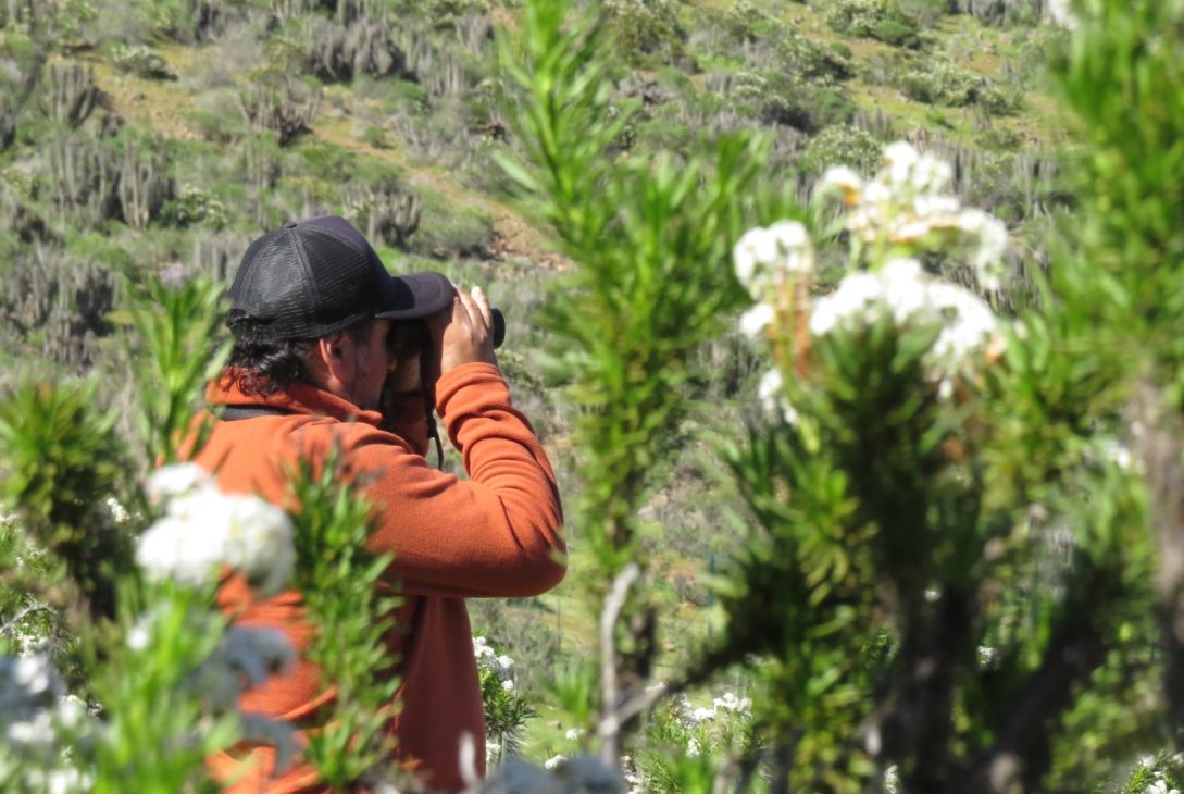 Centro de Educación Ambiental CEAZA reúne a 927 participantes durante su primer semestre de actividades en Cerro Grande