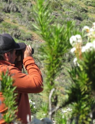 Centro de Educación Ambiental CEAZA reúne a 927 participantes durante su primer semestre de actividades en Cerro Grande