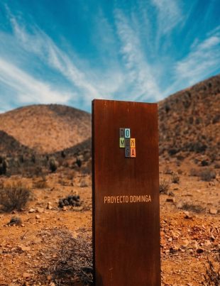 DECLARACIÓN PÚBLICA No es efectivo que exista un “corte ilegal” de vegetación atribuida y acreditada respecto de la empresa