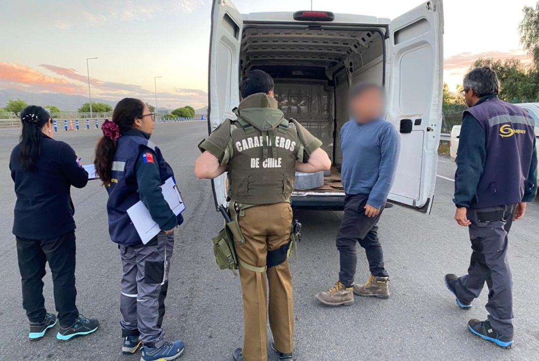 2 mil unidades de ostiones fueron incautadas en fiscalización de Sernapesca y Carabineros en Tongoy