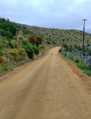 Plan Chile Despega MOP anuncia que ya se inició el proceso de licitación para pavimentar la ruta D-713 en Punitaqui
